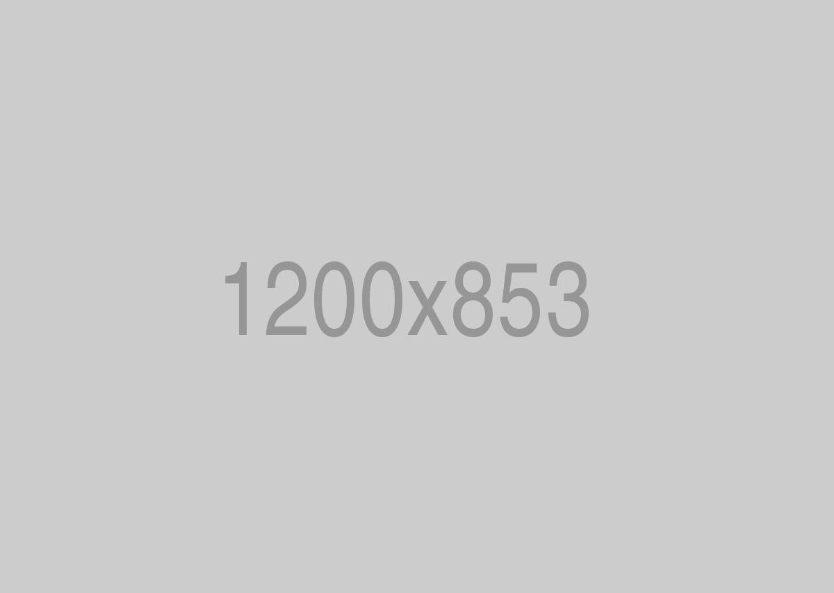 divi--security-guard-theme-img-6